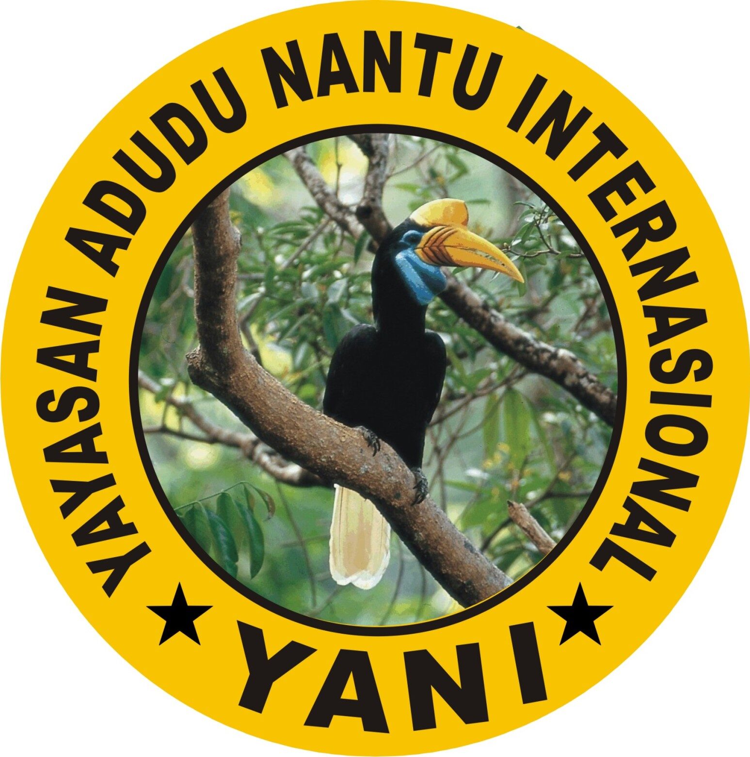 Nantu Forest